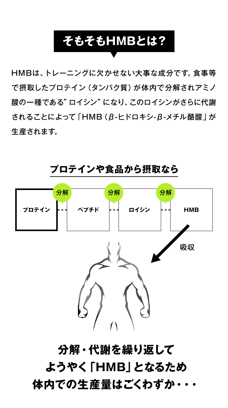 そもそもHMBとは？